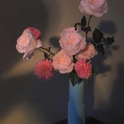 博雅体育app下载官网手机版